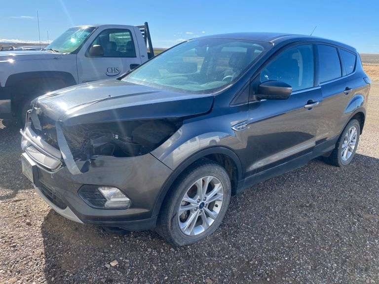 2017 FORD ESCAPE DEER HIT