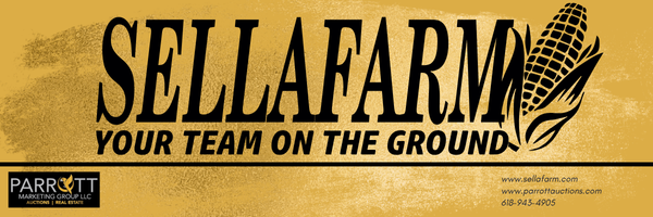 Website Logo