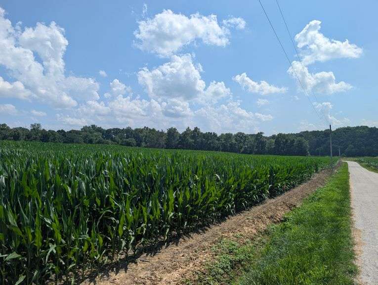 Tract 2 – 11.71+/- Surveyed Acres, 11.47 FSA Tillable Acres, Near 100% Tillable Excellent Potential for Row Crop, Specialty Crop, Melons, Pumpkins, Cattle Pasture -or- Possible Building Site!