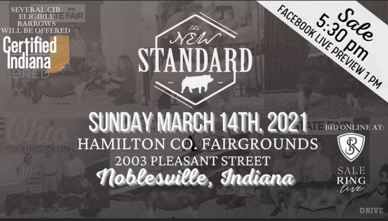 13-2 Hamp Barrow OC Showpigs