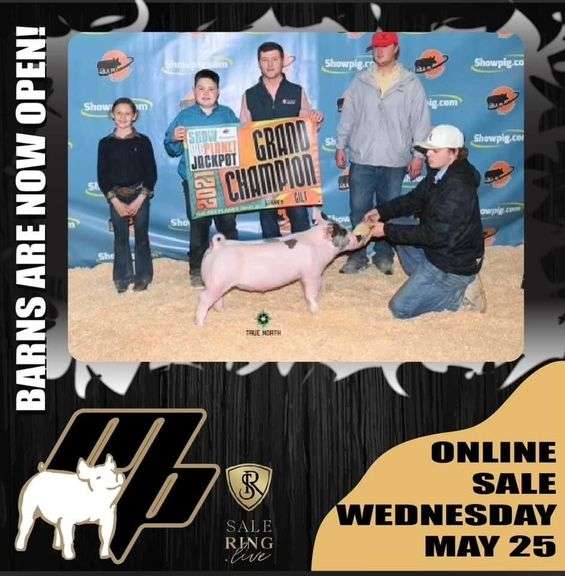 Cross Gilt