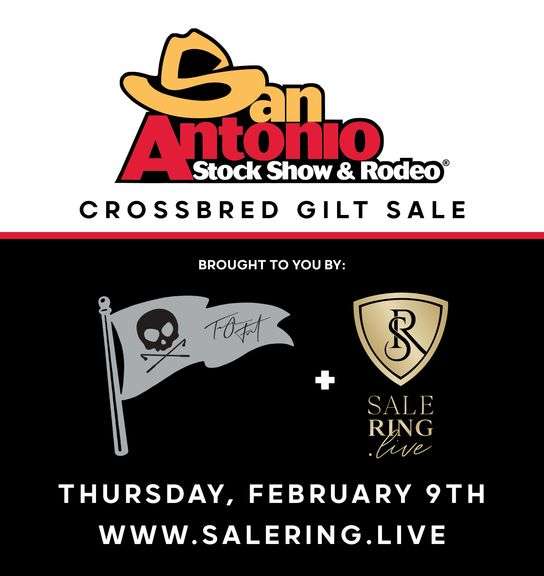 San Antonio Crossbred Gilt Sale