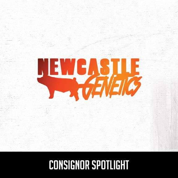 Newcastle - 37