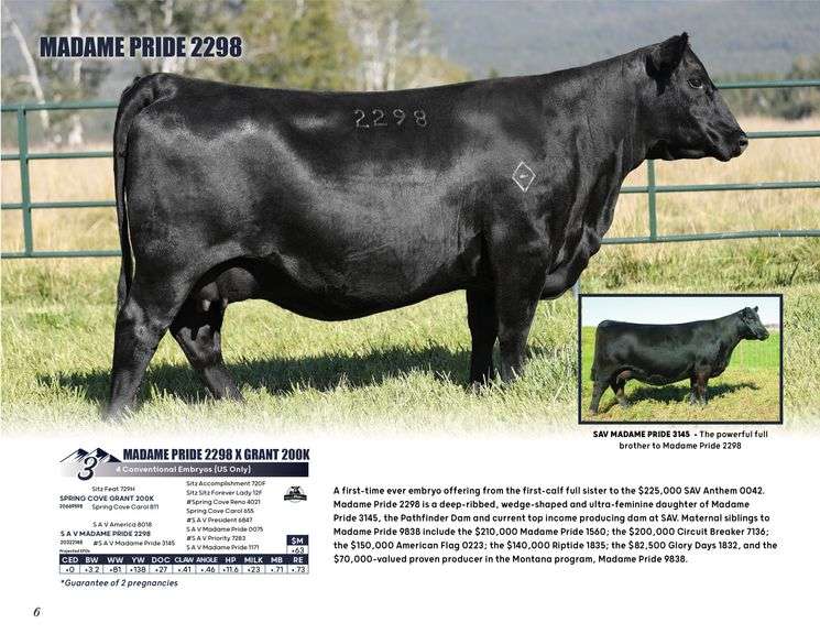 MADAME PRIDE 2298 x GRANT 200K