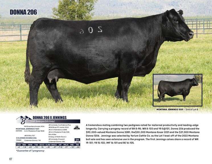 DONNA 206 x JENNINGS