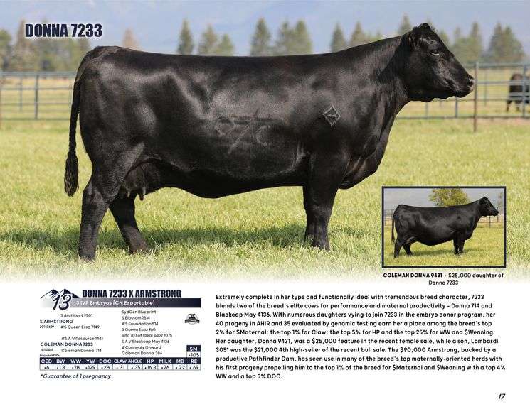 DONNA 7233 x ARMSTRONG