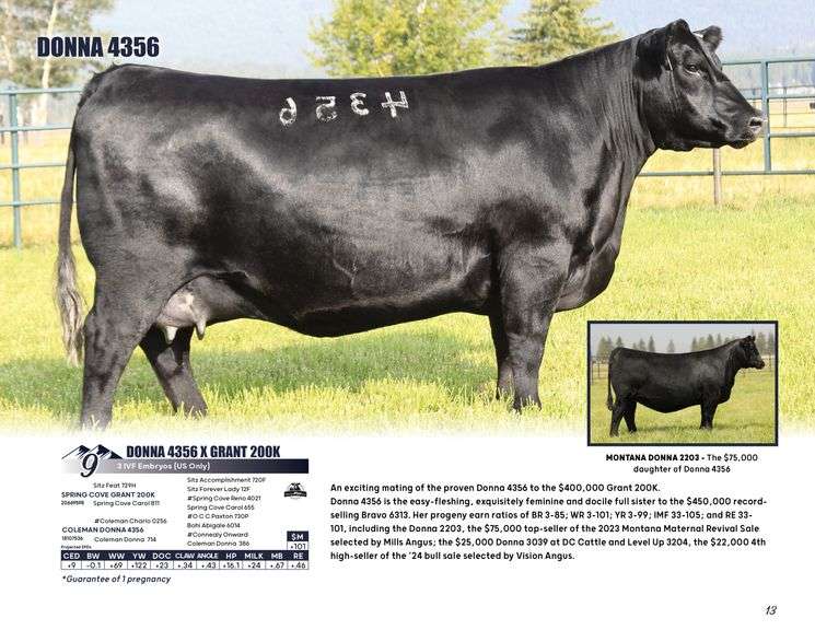 DONNA 4356 x GRANT 200K