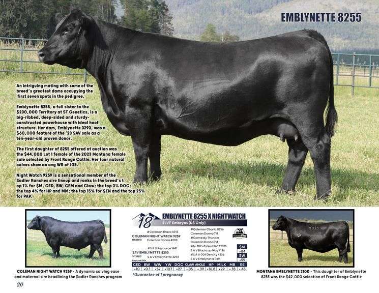 EMBLYNETTE 8255 x NIGHTWATCH