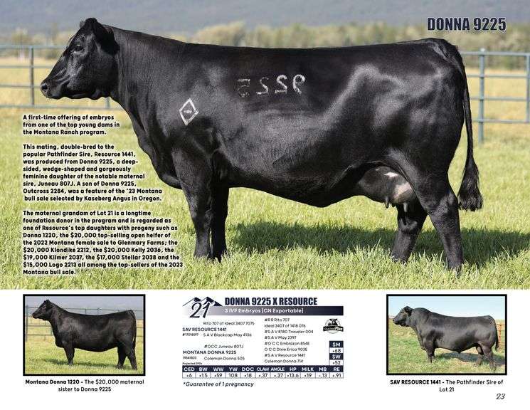 DONNA 9225 x RESOURCE