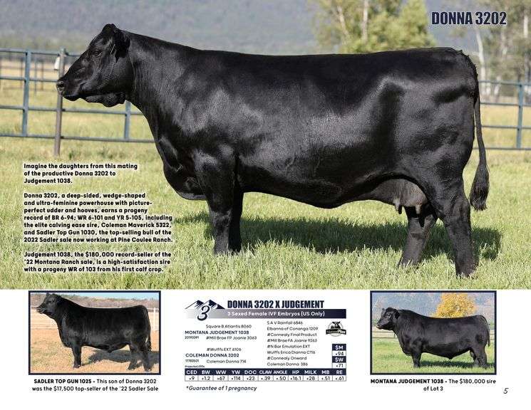 DONNA 3202 x JUDGEMENT