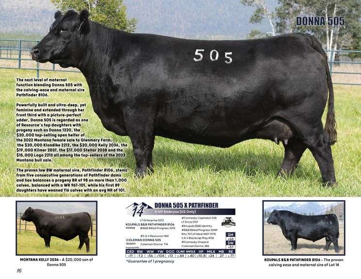 DONNA 505 x PATHFINDER