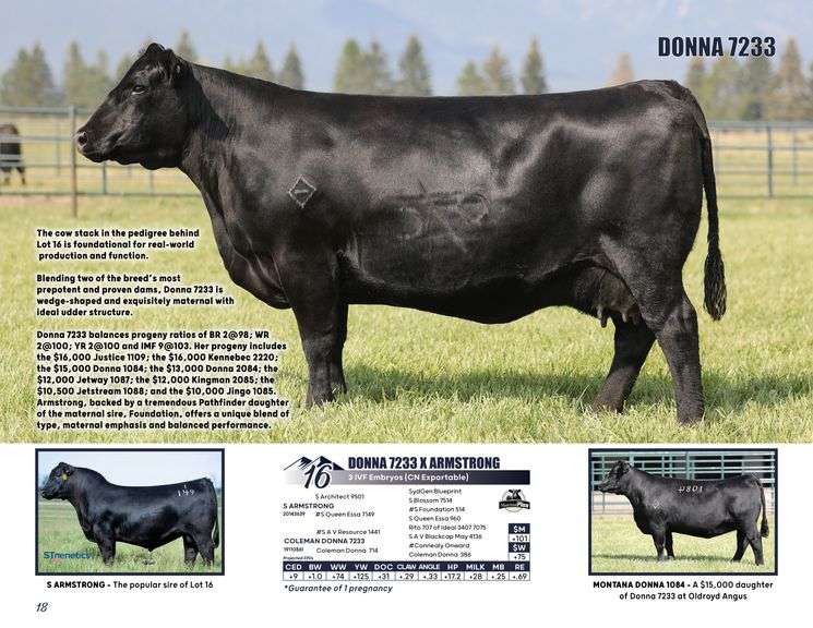 DONNA 7233 x ARMSTRONG