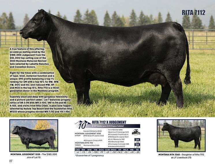 RITA 7112 X JUDGEMENT