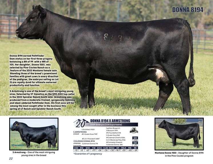 DONNA 8194 x ARMSTRONG