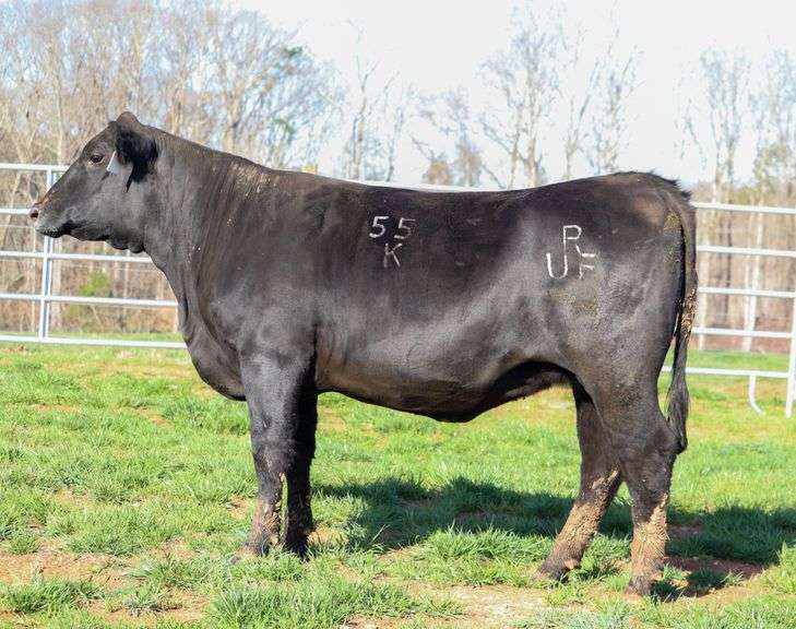 URF Sarah K55