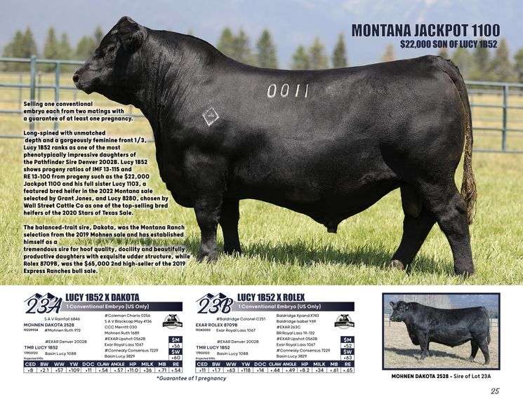 LUCY 1B52 x DAKOTA
