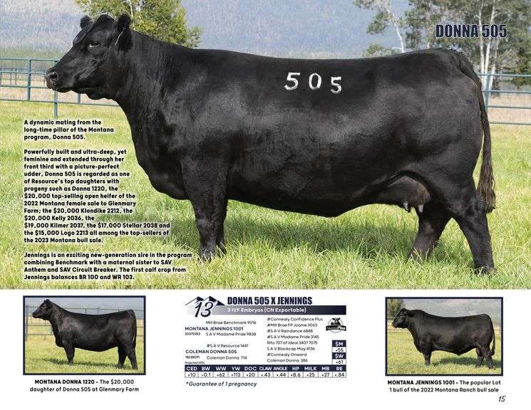 DONNA 505 x JENNINGS