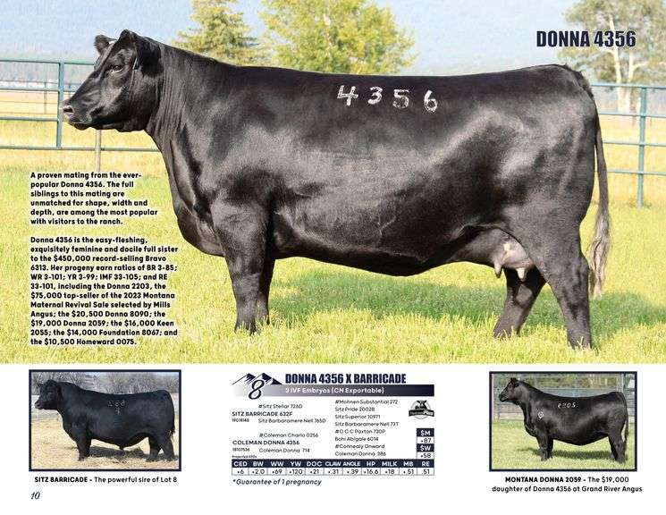 DONNA 4356 x BARRICADE