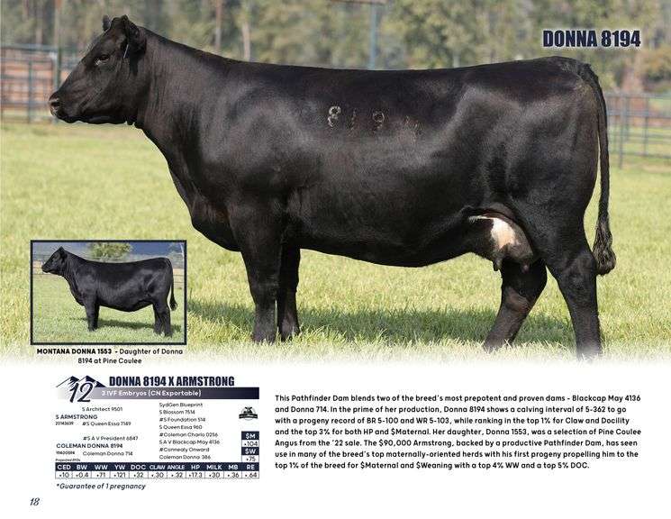 DONNA 8194 x ARMSTRONG