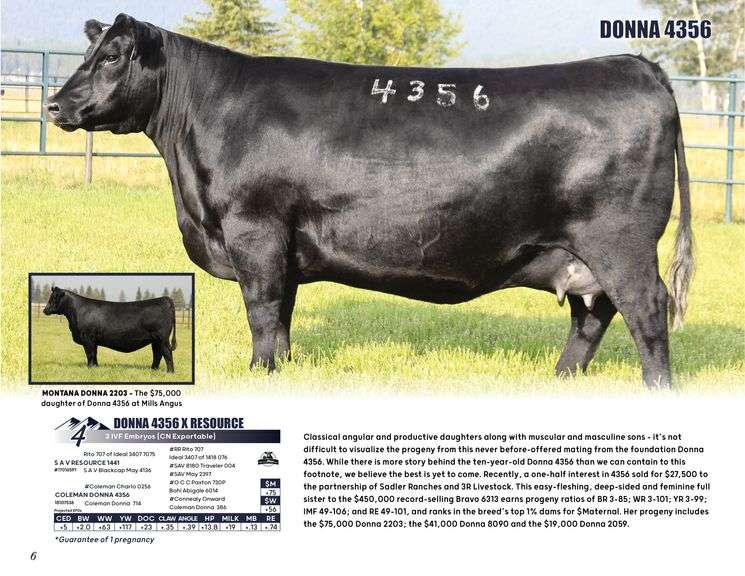 DONNA 4356 x RESOURCE