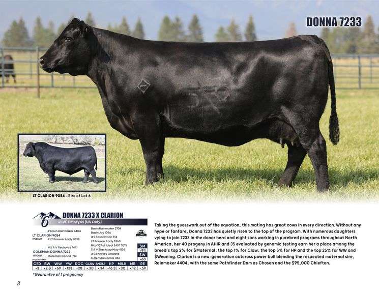 DONNA 7233 x CLARION