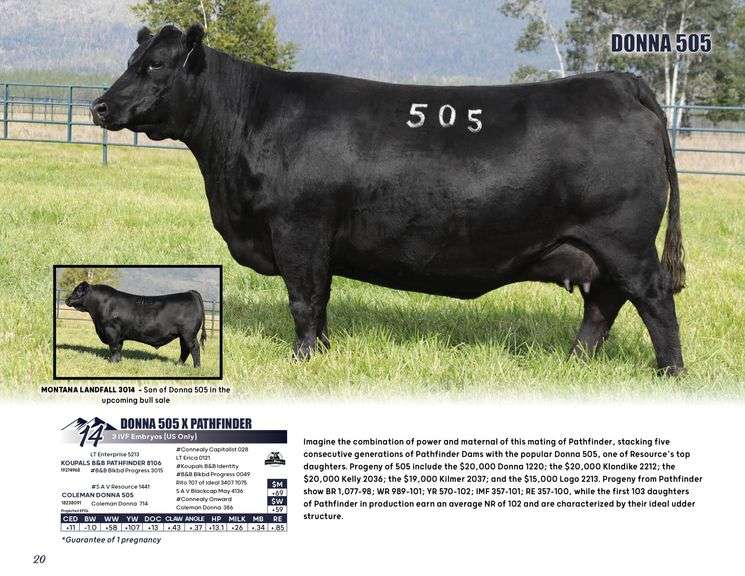 DONNA 505 x PATHFINDER