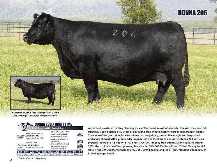 DONNA 206 x RIGHT TIME