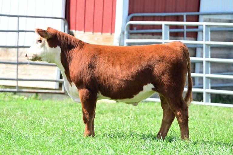 Green Pastures- Lot 39