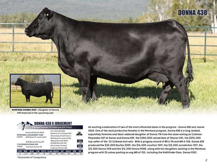 DONNA 438 x JUDGEMENT