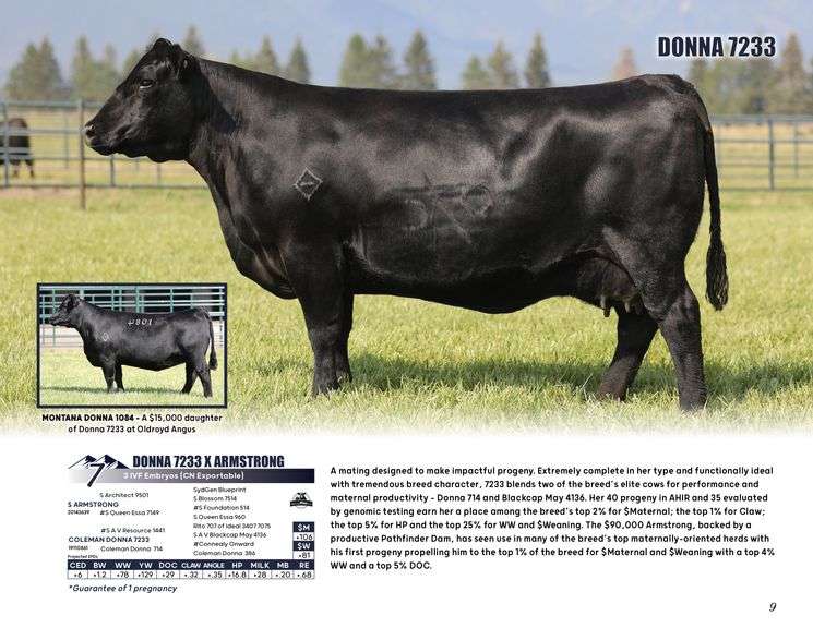DONNA 7233 x ARMSTRONG