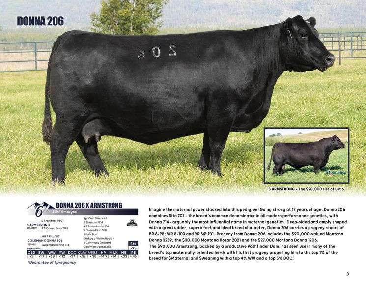 DONNA 206 x ARMSTRONG