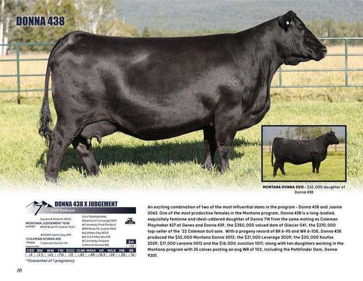 DONNA 438 x JUDGEMENT