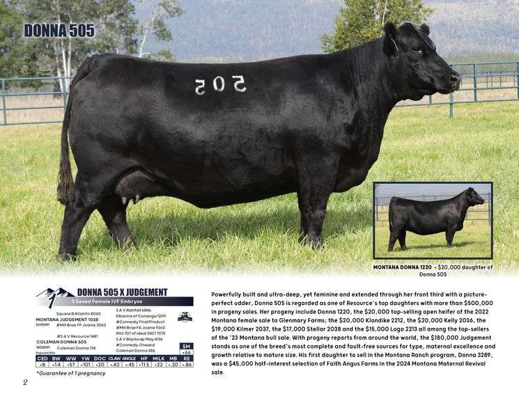 DONNA 505 x JUDGEMENT