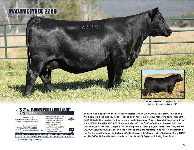 MADAME PRIDE 2298 x GRANT