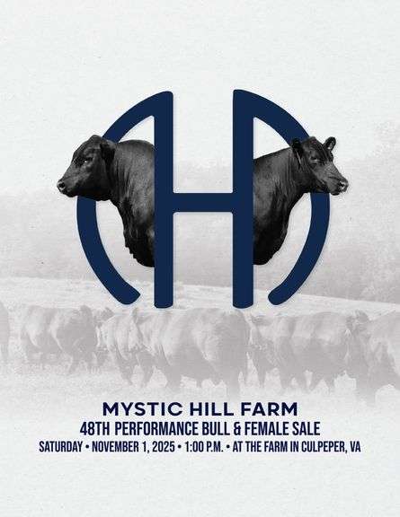 Mystic Hill Jaunty 1044