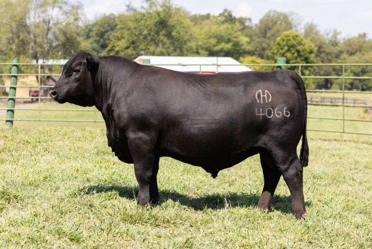 Mystic Hill Badlands 4066