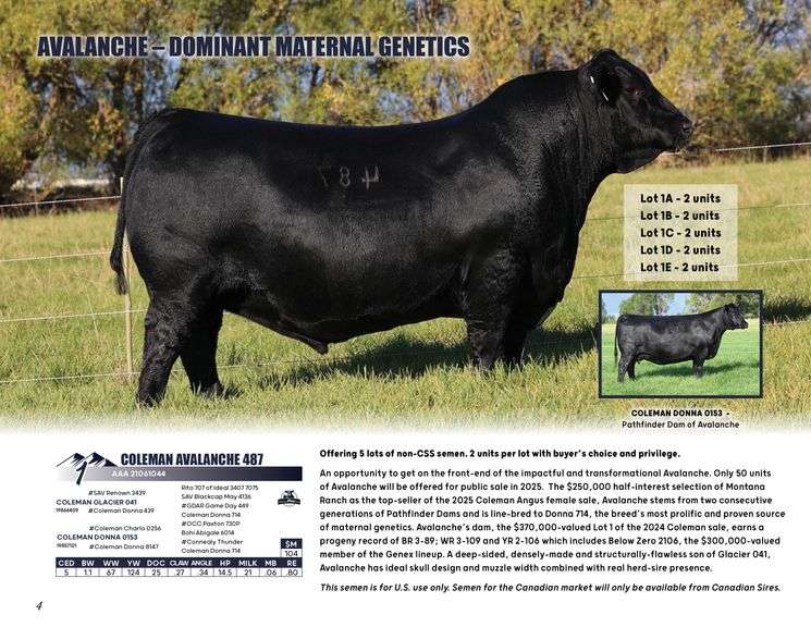 COLEMAN AVALANCHE 487