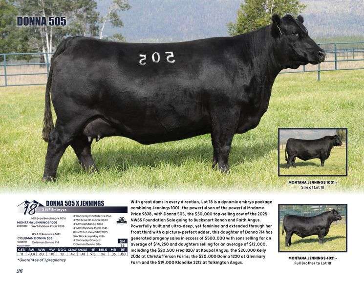 DONNA 505 x JENNINGS