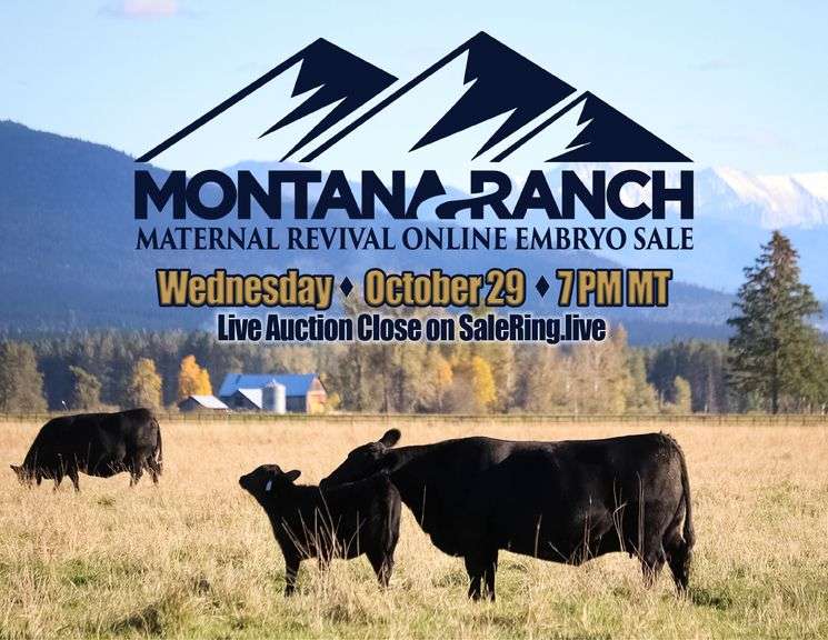 Montana Ranch Frozen Genetics Sale