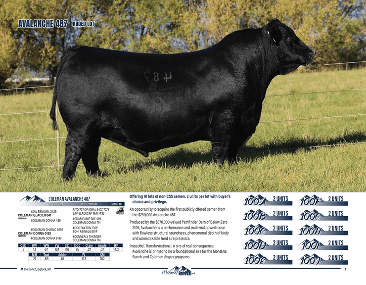 Coleman Avalanche 487 Semen