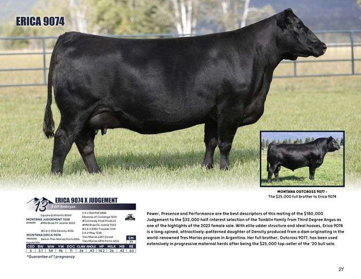 ERICA 9074 x JUDGEMENT