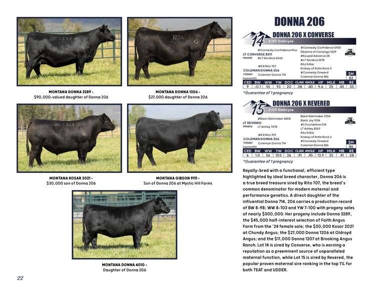 DONNA 206 x REVERED