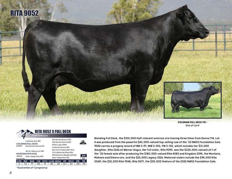 RITA 9052 x FULL DECK