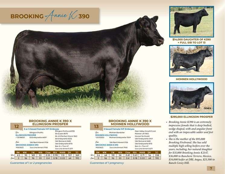 Brooking Annie K 390 x Mohnen Hollywood