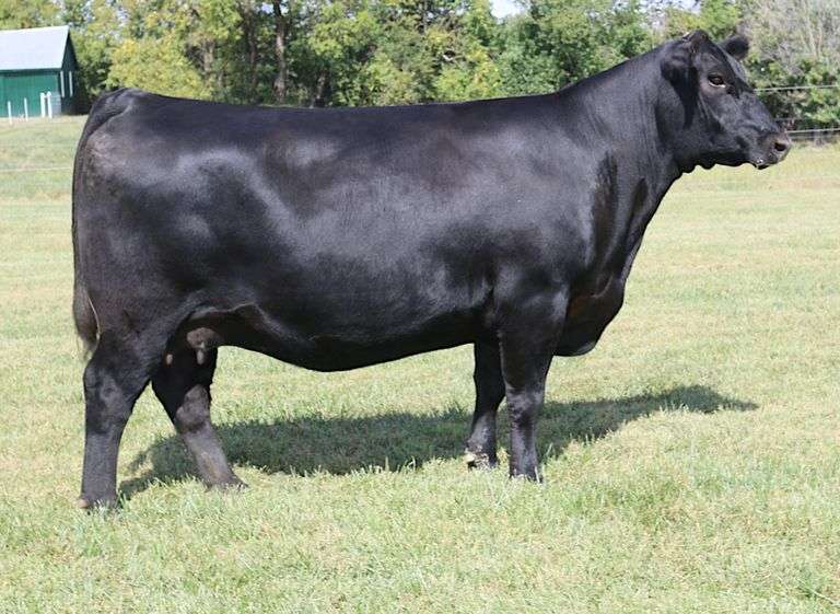 Musgrave Moonbeam 1272-1378