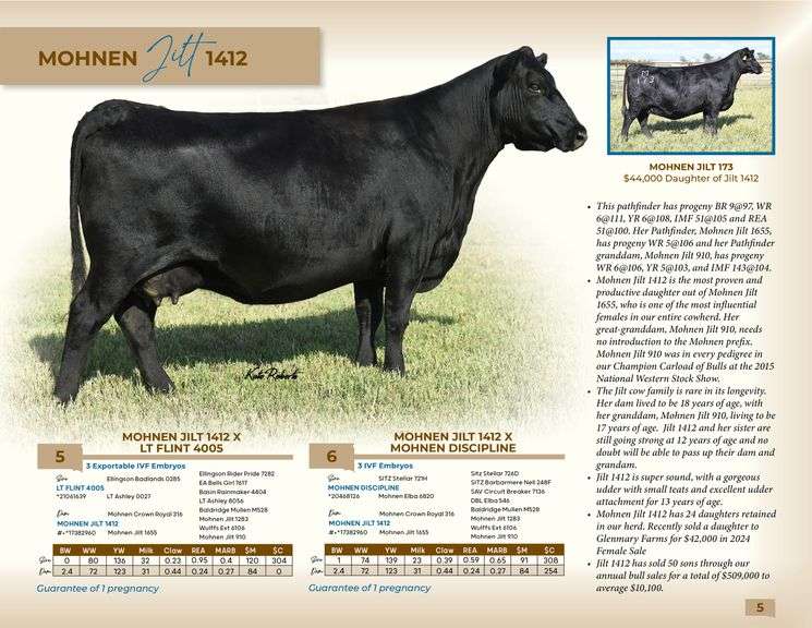 Mohnen Jilt 1412 x LT Flint 4005