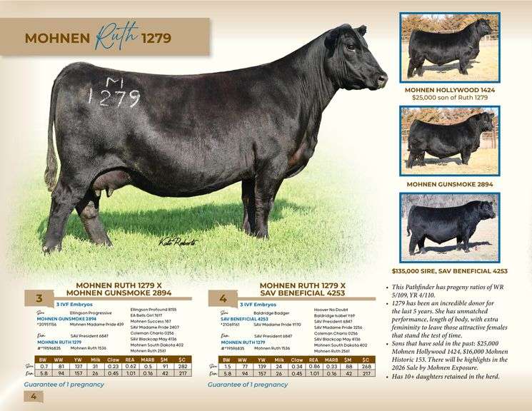 Mohnen Ruth 1279 x Mohnen Gunsmoke 2894