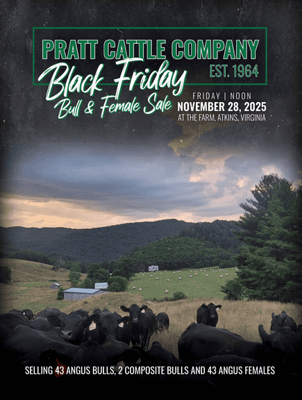 Pratt Cattle Company Black Friday Bull & Female Sale