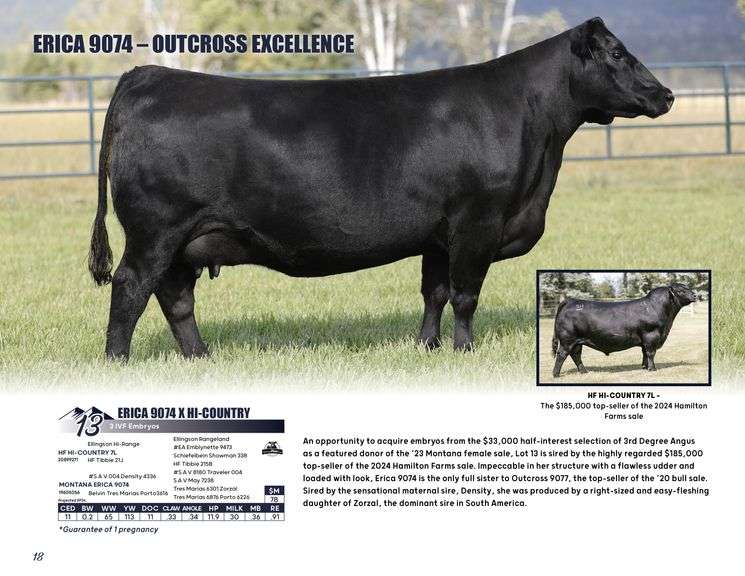 ERICA 9074 x HI-COUNTRY