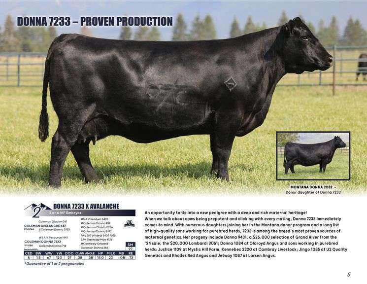 DONNA 7233 x AVALANCHE